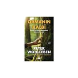 Doğan Kitap Ormanın Kalbi - Insan Ile Doğa Arasındaki Görünmez Bağ + Paranın Yükselişi - Dünyanın Finansal Tarihi