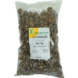 Doğan Selvi Kozalağı 1 kg