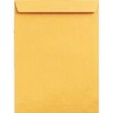 Doğan Zarf Torba Zarf Formula 100 gr 50'li 33 x 45 cm