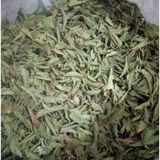 Doğanın Kalbi 200 gr Stevia Doğal Tatlandırıcı Şeker Otu Yaprağı