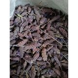 Doğanın Kalbi 300 gr Karabaş Otu