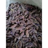 Doğanın Kalbi Karabaş Otu 1 kg ( Doğal Kurutulmuş Yeni Mahsül Taze Ürün )