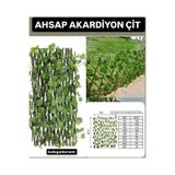 Dogant Ada 3XL Yapay Sarmaşık Çit, Akordiyon, 3 x 50 cm, Yeşil
