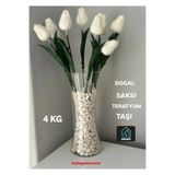 Dogant Beyaz Teraryum Saksı Taşı, 4 kg