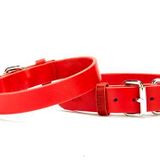 Doggie 1,5x32-37 cm Kırmızı Deri El Yapımı Köpek Boyun Tasması
