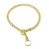 Doggie 3.5x55 cm Gold Eğitim Serisi Zincirli Köpek Boyun Tasması