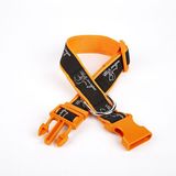 Doggie 3 cm x 36-60 cm Turuncu Köpek Desenli Dokuma Köpek Boyun Tasması