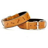 Doggie Comfort Camel 4x52-60 cm Medium Deri Kemik Desenli Köpek Boyun Tasması