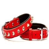 Doggie Comfort SBT-3512M Çivili Köpek Boyun Tasması