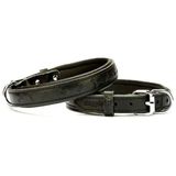 Doggie Comfort Siyah 2x35-40 cm Medium Deri Kemik Desenli Köpek Boyun Tasması