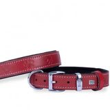 Doggie Deri Pati Desenli M 3x42-50 cm Kırmızı Boyun Tasması