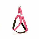Doggie DSGT-L-MR 70 cm Large Mor Comfort Ronin Köpek Bel Tasması