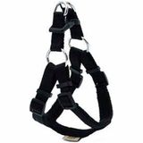 Doggie DSGT-L-SYH 70 cm Large Siyah Comfort Ronin Köpek Bel Tasması