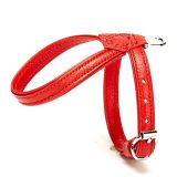 Doggie Flotter Gerçek Deriden El Yapımı Küçük Irk Köpek Göğüs Tasması, XXS, 1.2x20-25 cm, Kırmızı