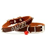 Doggie Kahverengi 1x18-22cm Kedi Ve Yavru Köpek İsimlikli Deri Boyun Tasması