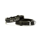Doggie Konfor Deri Siyah 1.5x25- 30 cm Köpek Boyun Tasması