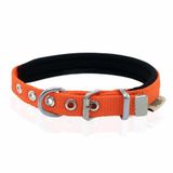 Doggie Konfor Dokuma 1.5x25-30 cm Turuncu Köpek Boyun Tasması