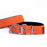 Doggie Konfor Dokuma Turuncu 2.5x42-50 cm Köpek Boyun Tasması