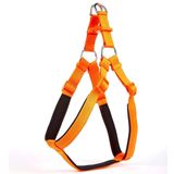Doggie Konfor Ronin Dokuma Turuncu 2.5x70-80 cm Köpek Göğüs Tasması