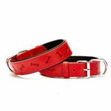 Doggie Konforlu El Yapımı Kemik Desenli Kırmızı 2x30-35 cm Köpek Boyun Tasması