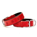 Doggie Konforlu El Yapımı Pati Desenli Kırmızı 4x57-65 cm Köpek Boyun Tasması