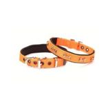Doggie Köpek Boyun Tasması Kemikli Turuncu 30-35Cm