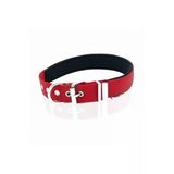 Doggie Köpek Boyun Tasması Kırmızı 3*42-50 Cm