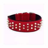 Doggie Medium 5x55-65 cm Kırmızı Comfort Dokuma Çivili Köpek Boyun Tasması