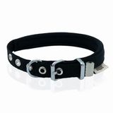 Doggie Premium DABT1510S Black 20x25 cm Köpek Tasması‑Kemeri
