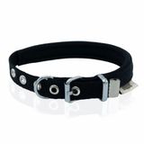 Doggie Premium DSBT2510M Black 37x45 cm Köpek Tasması‑Kemeri