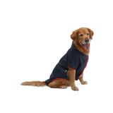 Dogi & Dog Büyük Irk Navy Köpek Yağmurluğu -Köpek Kiyafeti