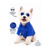 DOGİ&DOG Küçük Irk Saks %100 Pamuk Muslin Yazlık Kedi Gömleği Köpek Gömleği Köpek Kıyafeti (1-10KG)