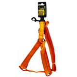 Doglife Fosforlu 2.5 cm Köpek Göğüs Tasması