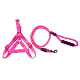 Doglife Göğüs ve Fitil 12 mm Köpek Gezdirme Tasması
