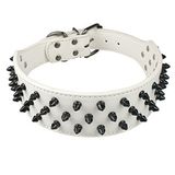 Dogs Kingdom Deri Siyah Çivili Çivili Köpek Tasması 5 cm Genişliğinde, 31 Sivri 52 Çivili Çukur Boğası, Boxer Yaka