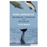 Doğu Akdeniz’de Balinalar, Yunuslar ve Muturlar Fethi Bengil