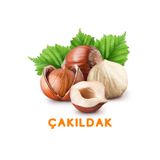 DOĞUKAN YILMAZ ŞENGÜL ÇAKILDAK FINDIK FİDANI TÜPLÜ 1 YAŞ