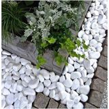 Doğuş Bahçe Beyaz Dolomit Taş 10 kg 4-6 cm Dekorotif Taş Bahçe Süs Taşı Loche