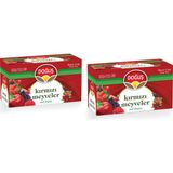 Doğuş Kırmızı Meyveler Çayı 20'li Paket 2 gr Soğuk İçecek Sağlıklı Yaşam İçin