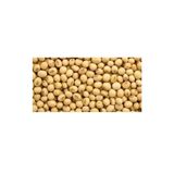 Dökme Bakliyat 1 kg Soya Fasulyesi