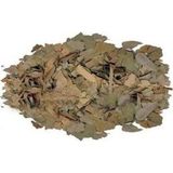 Dökme Bitkiler Avokado Yaprağı - 100 Gr