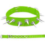 Dokuma Çivili Köpek Boyun Tasması - 5*80 Cm - Yeşil