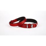 Dokuma Köpek Boyun Tasması 45-52 Cm Kırmızı