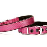Dokuma Softlu Köpek Boyun Tasması 2 cm x 45 cm Mor