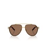 Dolce & Gabbana Erkek Güneş Gözlüğü 0DG23156202/73