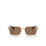 Dolce & Gabbana Erkek Güneş Gözlüğü 0DG23165602/73