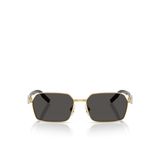 Dolce & Gabbana Erkek Güneş Gözlüğü 0DG23165602/87