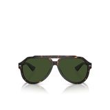 Dolce & Gabbana Erkek Güneş Gözlüğü 0DG445260502/71