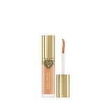 Dolce & Gabbana Everlast 17 Medium Concealer