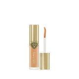 Dolce & Gabbana Everlast 18 Medium Concealer